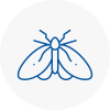 Moth Control Specialists In Marden